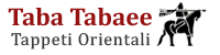 Tabatabaee Logo